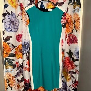 Calvin Klein Woman’s Teal, Black & White Dress